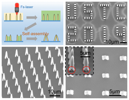Capillary Force Driven Self-Assembly of Anisotropic Hierarchical ...