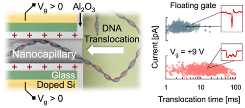 slowing dna translocation in a nanofluidic field effect transistor acs nano x mol
