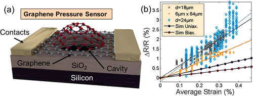 Piezoresistive Properties of Suspended Graphene Membranes under ...