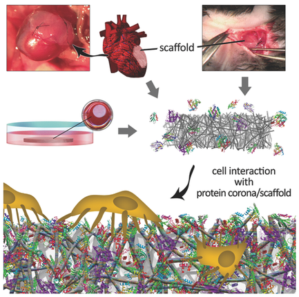 Nanostructured biomaterials