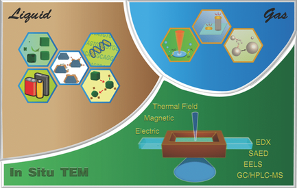In Situ Environmental TEM in Imaging Gas and Liquid Phase Chemical ...