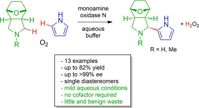 Stereoselective Monoamine Oxidase Catalyzed Oxidative Aza Friedel Crafts Reactions Of Meso Pyrrolidines In Aqueous Buffer Advanced Synthesis Catalysis X Mol