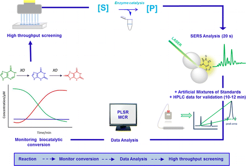 Label-Free Surface Enhanced Raman Scattering Approach for High ...