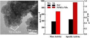 用于高效甲醇氧化的分级铂-钯-铜纳米枝晶的合成,Applied Catalysis B: Environment And Energy - X-MOL