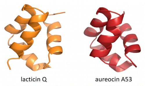 nuclear magnetic resonance solution