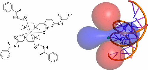new lanthanide tag for the generation