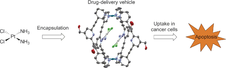 Palladium System Evaluation of New Palladium Cages as Potential Delivery Systems for the ...