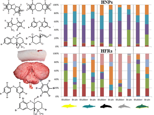 Halogenated Natural Products In Dolphins Brain Blubber Distribution And Comparison With Halogenated Flame Retardants Environmental Science Technology X Mol