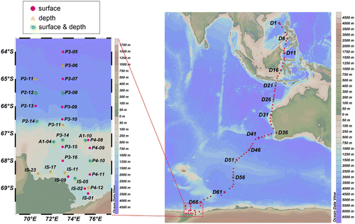 Fate Of Polycyclic Aromatic Hydrocarbons In Seawater From The Western Pacific To The Southern Ocean 17 5 N To 69 2 S And Their Inventories On The Antarctic Shelf Environmental Science Technology X Mol