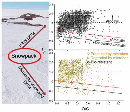 Molecular Insights On Dissolved Organic Matter Transformation By Supraglacial Microbial Communities Environmental Science Technology X Mol