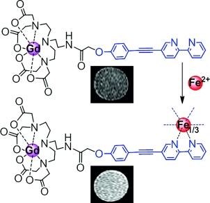 基于钆 (III) 配合物的 Fe2+-响应双峰 MRI 和荧光成像探针,European Journal of Inorganic ...