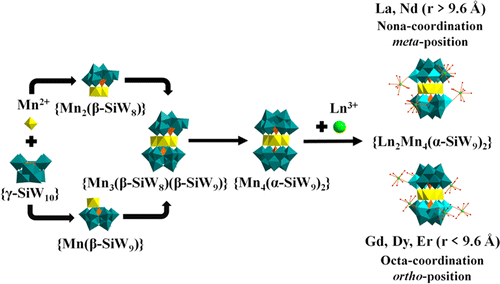 Probing The Self Assembly Mechanism Of Lanthanide Containing Sandwich Type Silicotungstates Ln H2o N 2 Mn4 B A Siw9o34 2 H2o 2 6 Using Time Resolved Mass Spectrometry And X Ray Crystallography Inorganic Chemistry X Mol