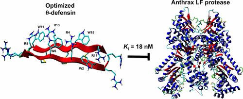 Full Sequence Amino Acid Scanning Of 8 Defensin Rtd 1 Yields A Potent Anthrax Lethal Factor Protease Inhibitor Journal Of Medicinal Chemistry X Mol