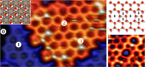 Ru(0001)和Pt(111)上第一层冰的生长和结构,Journal of the American Chemical Society ...