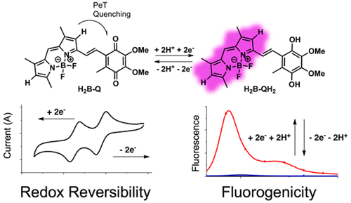 用于监测化学和生物氧化还原过程的荧光泛醌类似物,Journal of the American Chemical Society - X-MOL