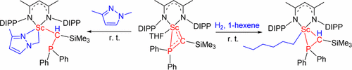 高反应性钪膦亚烷基配合物:C-H 和 H-H 键活化,Journal of the American Chemical Society - X-MOL