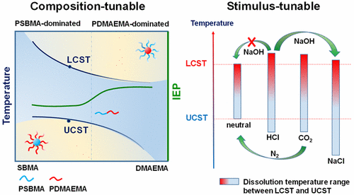 Dual Thermoresponsive Aggregation Of Schizophrenic Pdmaema B Psbma Copolymer With An Unrepeatable Ph Response And A Recycled Co2 N2 Response Langmuir X Mol