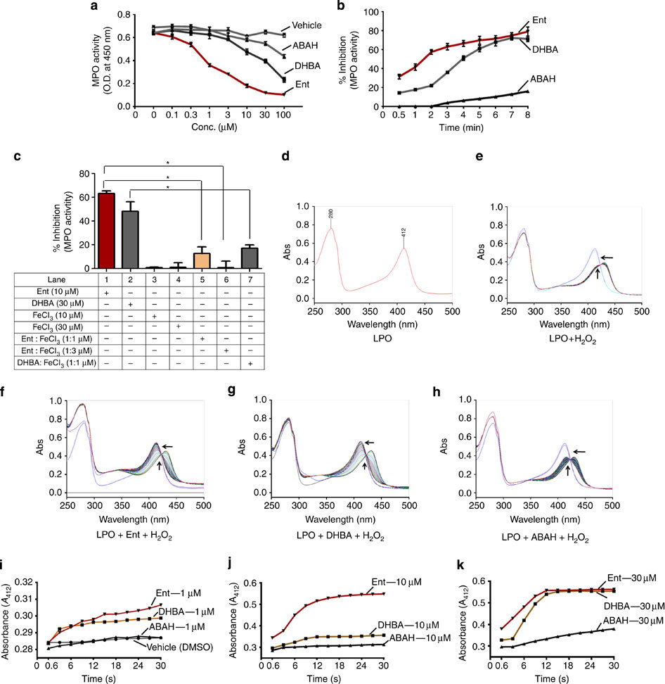 Interplay between enterobactin, myeloperoxidase and lipocalin 2 ...