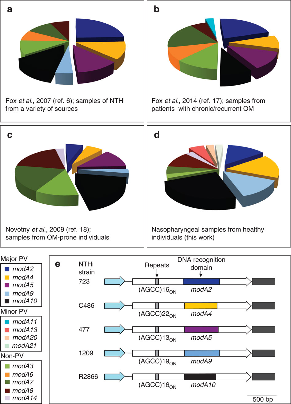 A Biphasic Epigenetic Switch Controls Immunoevasion Virulence And Niche Adaptation In Non Typeable Haemophilus Influenzae Nature Communications X Mol