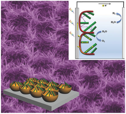 Heterostructured TiO2 Nanorod@Nanobowl Arrays for Efficient ...