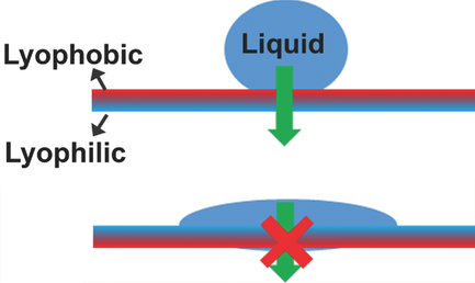 Directional Fluid Transport in Thin Porous Materials and its Functional ...