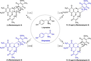 Synthesis of the Tetrahydroisoquinoline Alkaloid (±)-Renieramycin