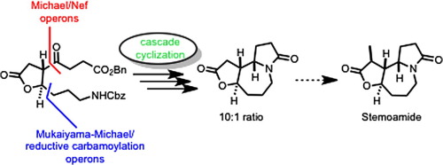 Cascade Cyclization Triggered By Imine Formation Formal Synthesis Of The Alkaloid Stemoamide And Its 9a Epimer Tetrahedron Letters X Mol