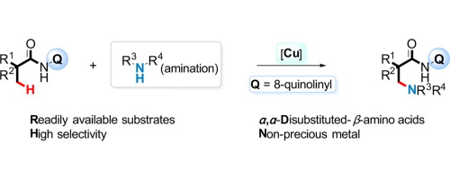 Copper Ii Mediated Intermolecular Amination Of Inert C Sp3 H Bonds With Simple Alkylamines To Construct A A Disubstituted B Amino Acid Derivatives Tetrahedron Letters X Mol