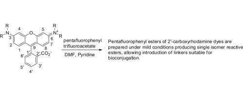 Unexpected Reactivity Of The 2 Carboxyl Functionality In Rhodamine Dyes Tetrahedron Letters X Mol