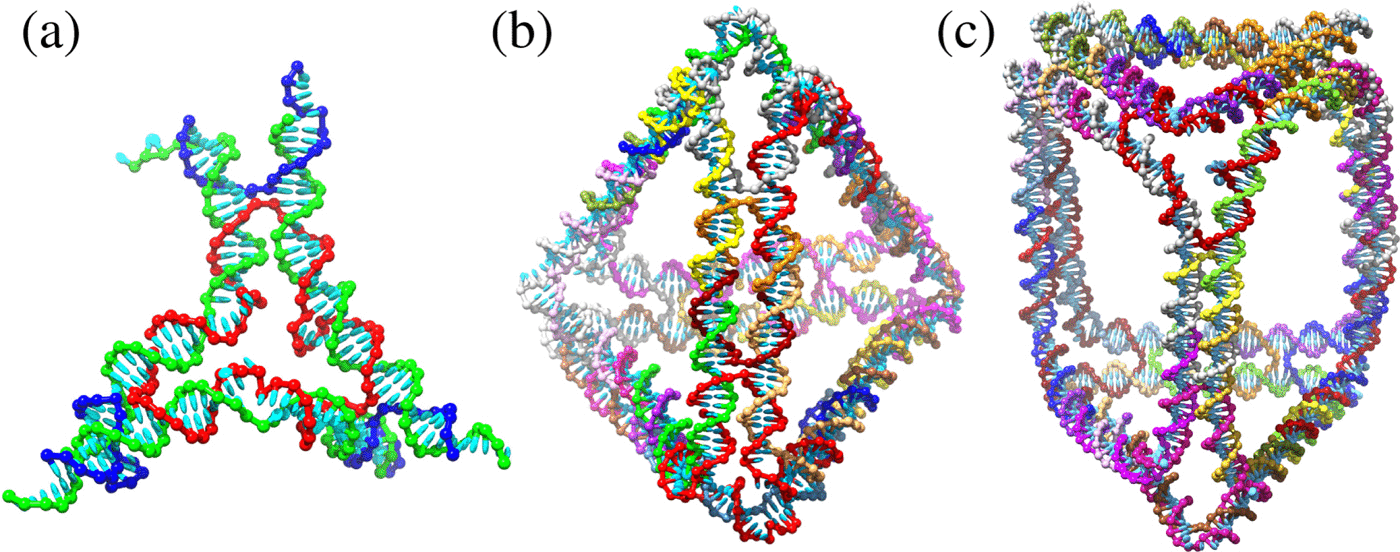 表征DNA双链体中凸起引起的弯曲和柔韧性,The Journal of Chemical Physics - X-MOL