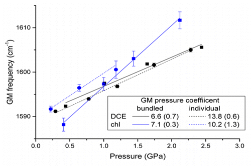 Significance Of Bundling Effects On Carbon Nanotubes Response To Hydrostatic Compression The Journal Of Physical Chemistry C X Mol