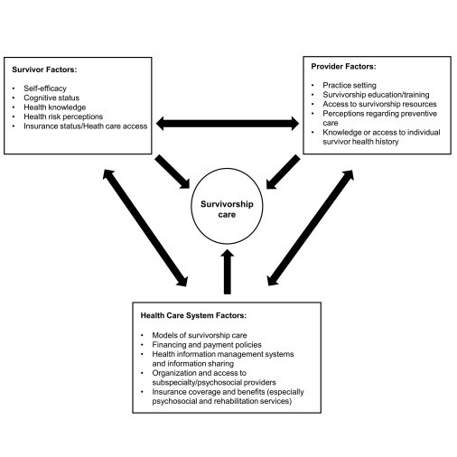 Factors influencing risk-based care of the childhood cancer survivor in ...