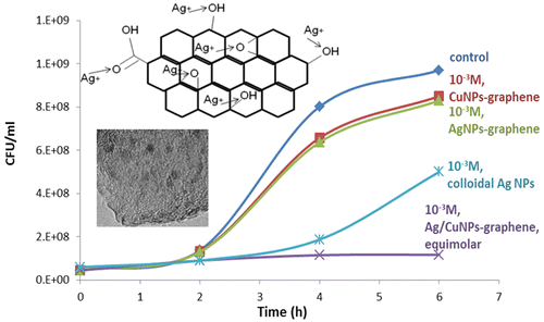 Ag and Cu Monometallic and Ag/Cu Bimetallic Nanoparticle–Graphene ...