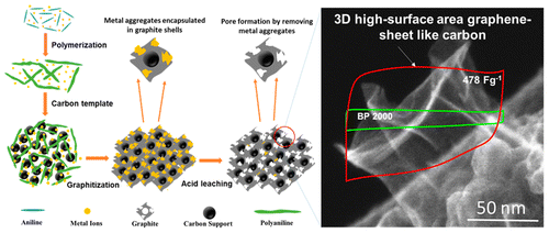 Heteroatom Polymer-Derived 3D High-Surface-Area and Mesoporous Graphene ...