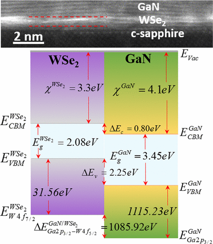 Band Alignment At Gansingle Layer Wse2 Interfaceacs Applied Materials And Interfaces X Mol 2557