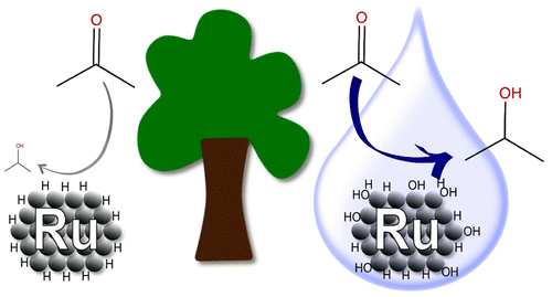 Why Is Ruthenium an Efficient Catalyst for the Aqueous-Phase ...