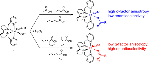 Dramatic Effect of Carboxylic Acid on the Electronic Structure of the ...