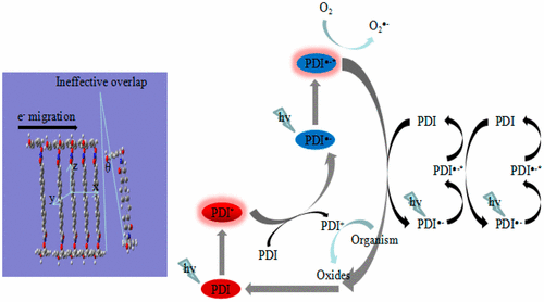 Short-Range π–π Stacking Assembly on P25 TiO2 Nanoparticles for ...