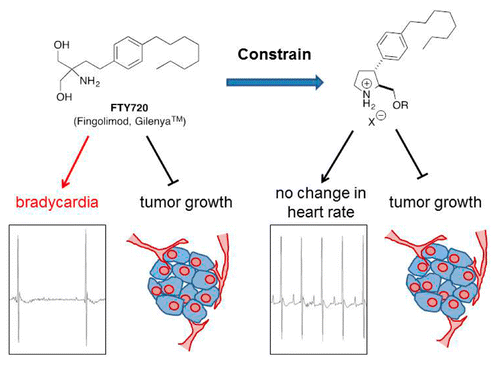 Azacyclic FTY720 Analogues That Limit Nutrient Transporter Expression ...