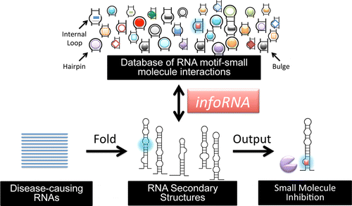 Inforna 2.0: A Platform for the Sequence-Based Design of Small ...