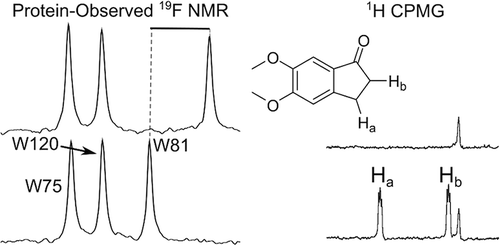 Protein-Observed Fluorine NMR Is A Complementary Ligand Discovery ...