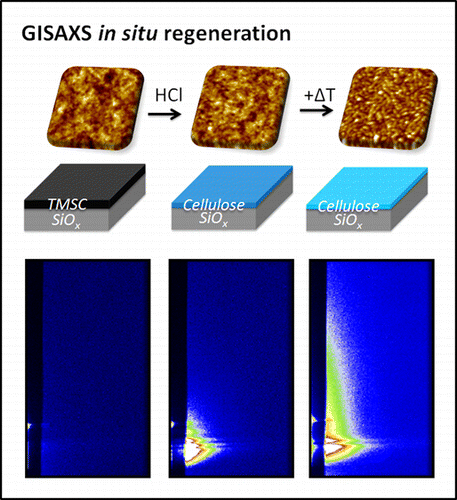 Surface Rearrangement Surface-Sensitive Approach to Interpreting Supramolecular ...