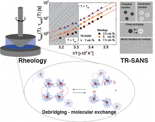 Telechelic Raft Functionalization Telechelic Polymer Hydrogels: Relation between the Microscopic Dynamics ...