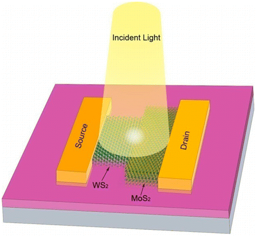 Scalable Production of a Few-Layer MoS2/WS2 Vertical Heterojunction ...