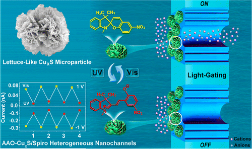 Colloidal Synthesis of Lettuce-like Copper Sulfide for Light-Gating ...