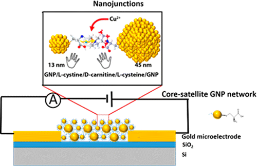 Self-Assembled Core–Satellite Gold Nanoparticle Networks For ...