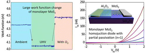 Large Work Function Modulation of Monolayer MoS2 by Ambient Gases,ACS ...