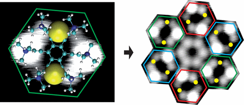 外延诱导的组装和对映体转换的表面形成的双核有机钴复合物。,ACS Nano XMOL