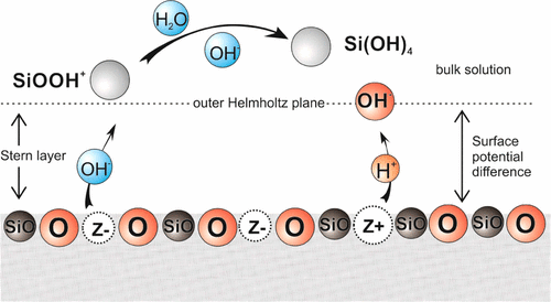 On The Mechanism Of The Dissolution Of Quartz And Silica In Aqueous ...