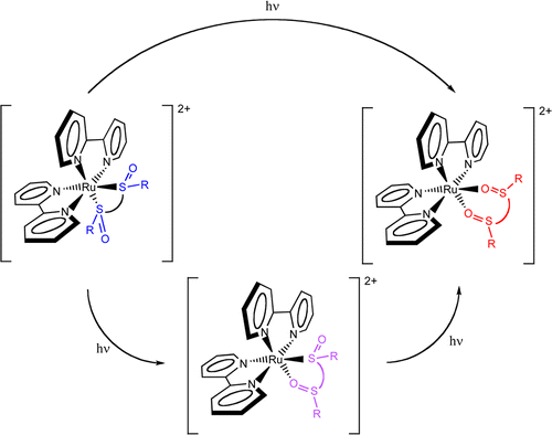 Excited State Dynamics and Isomerization in Ruthenium Sulfoxide ...